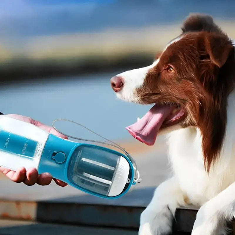 3 -in-1 Dog Water Bottle & Feeder – For Travel & Walks™